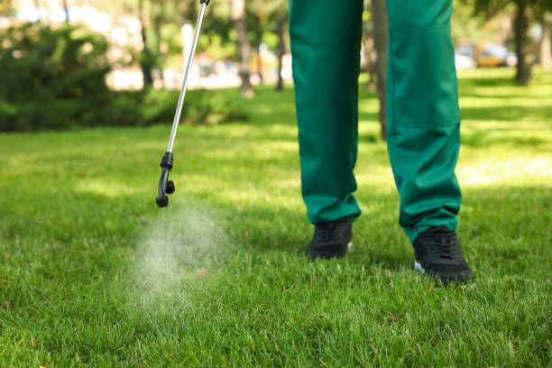 Best Residential Pest Control  in Dripping Springs, TX