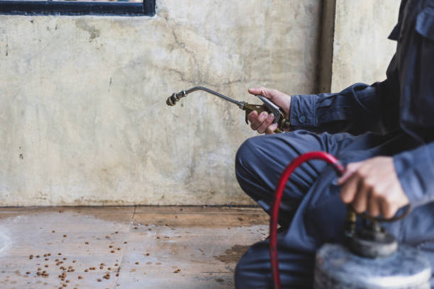Best Pest Inspection Near Me  in Dripping Springs, TX